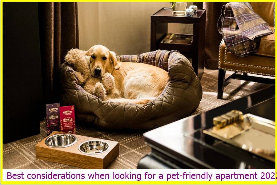 Best considerations when looking for a pet-friendly apartment 2022