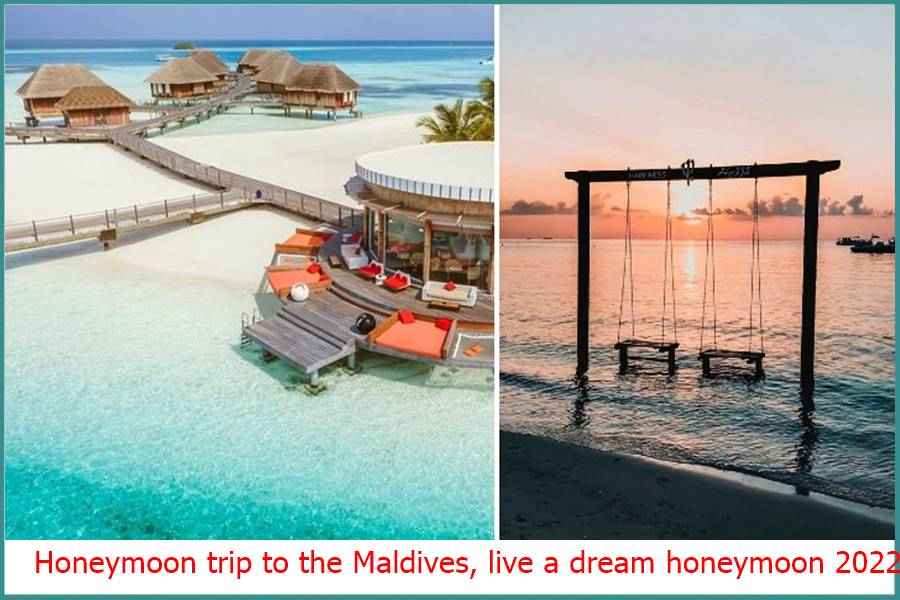 Honeymoon trip to the Maldives, live a dream honeymoon 2022