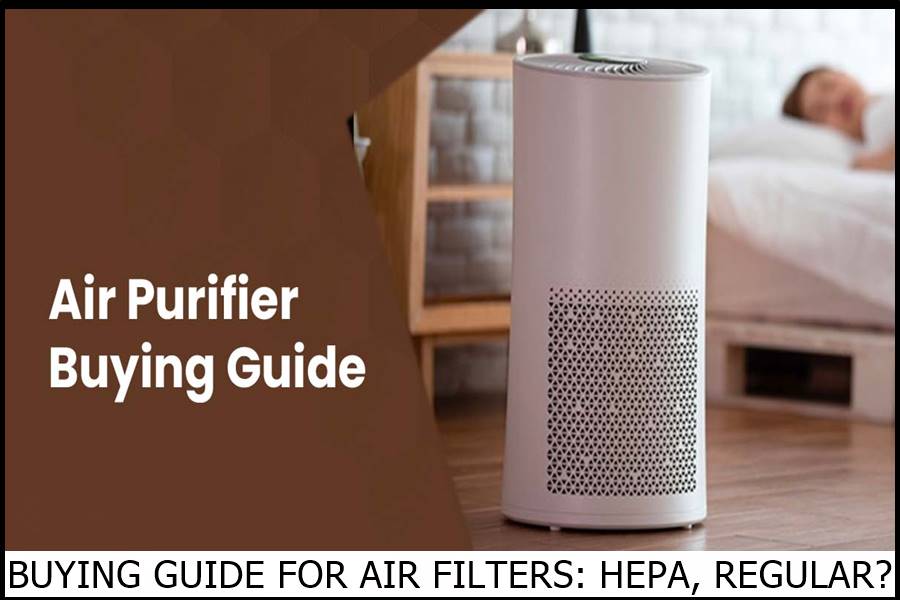 BUYING GUIDE FOR AIR FILTERS: HEPA, REGULAR?