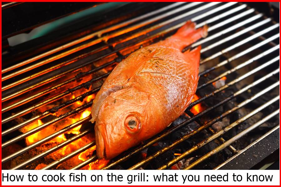 How to cook fish on the grill: what you need to know