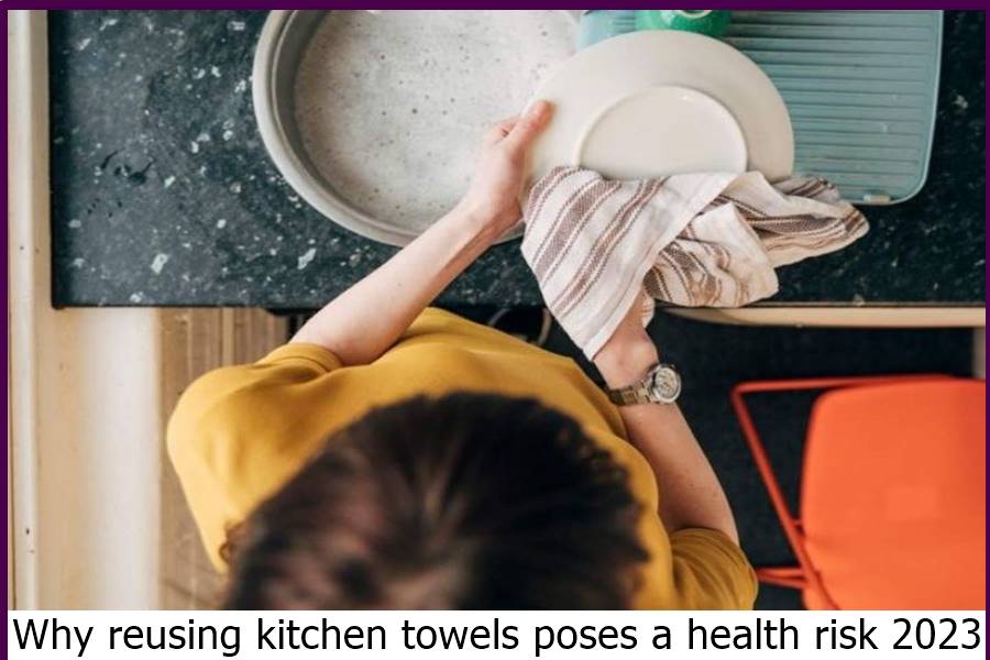 Why reusing kitchen towels poses a health risk 2023