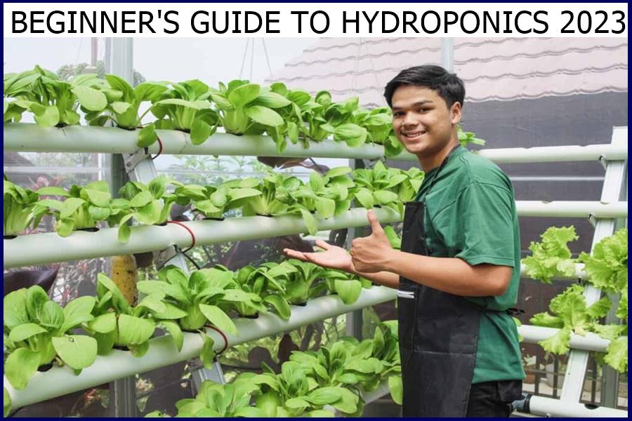 BEGINNER'S GUIDE TO HYDROPONICS 2023