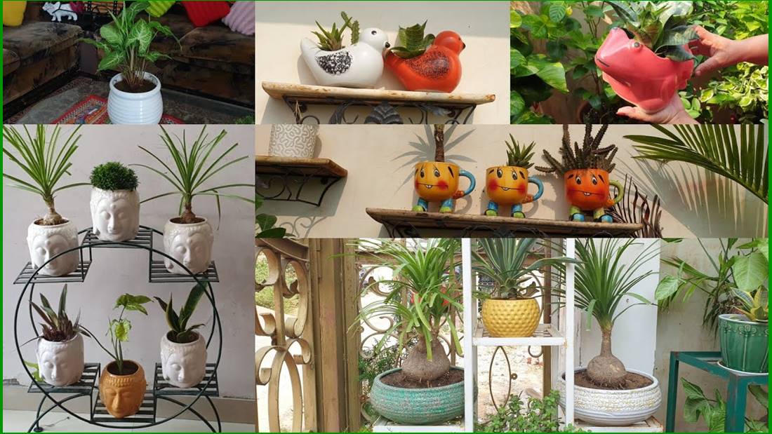 How to choose the best pots for your indoor and outdoor plants