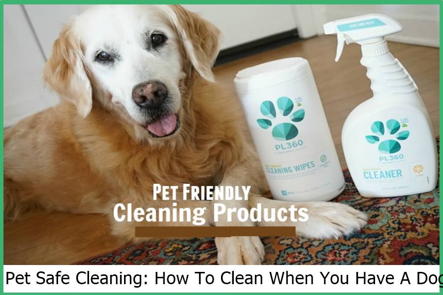 Pet Safe Cleaning: How To Clean When You Have A Dog