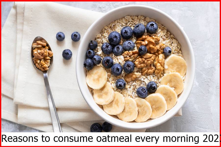 Reasons to consume oatmeal every morning 2023