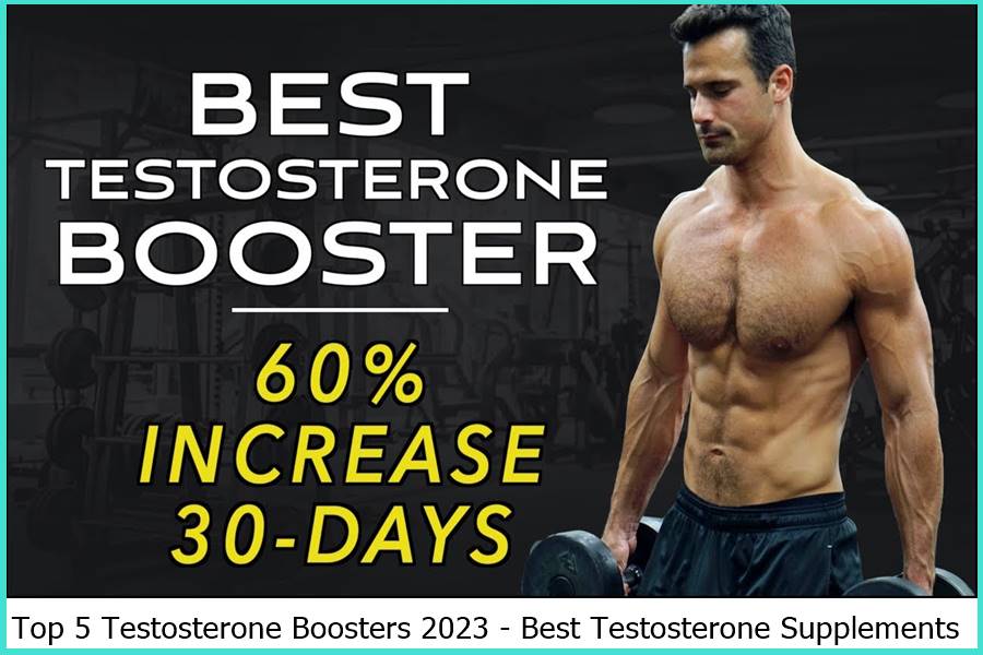 Top 5 Testosterone Boosters 2023 Best Testosterone Supplements